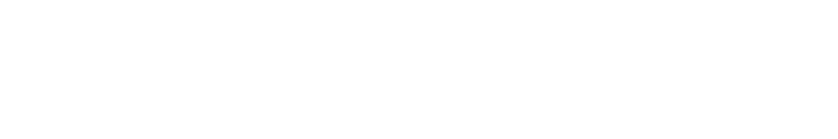 Seoul Tonic White Logo